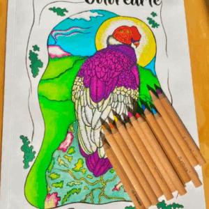 Libro “ColoreArte”